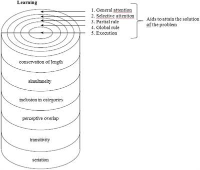 Static and Dynamic Assessment of Intelligence in ADHD Subtypes